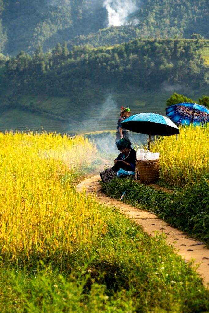 Colorful farmers tending crops in scenic terraced fields under umbrellas.